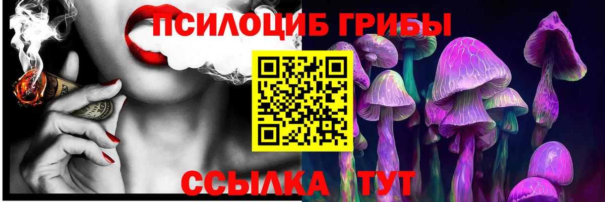 Псилоцибиновые грибы Psilocybine cubensis  Вход с VPN  Барнаул 